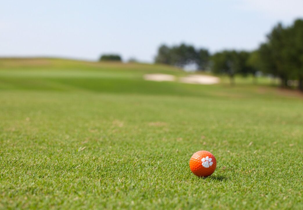 The 2022 Clemson Cooperative Extension Service Turf School will be held from 1-2 p.m. EST, Jan. 31-Feb. 4, via Zoom.